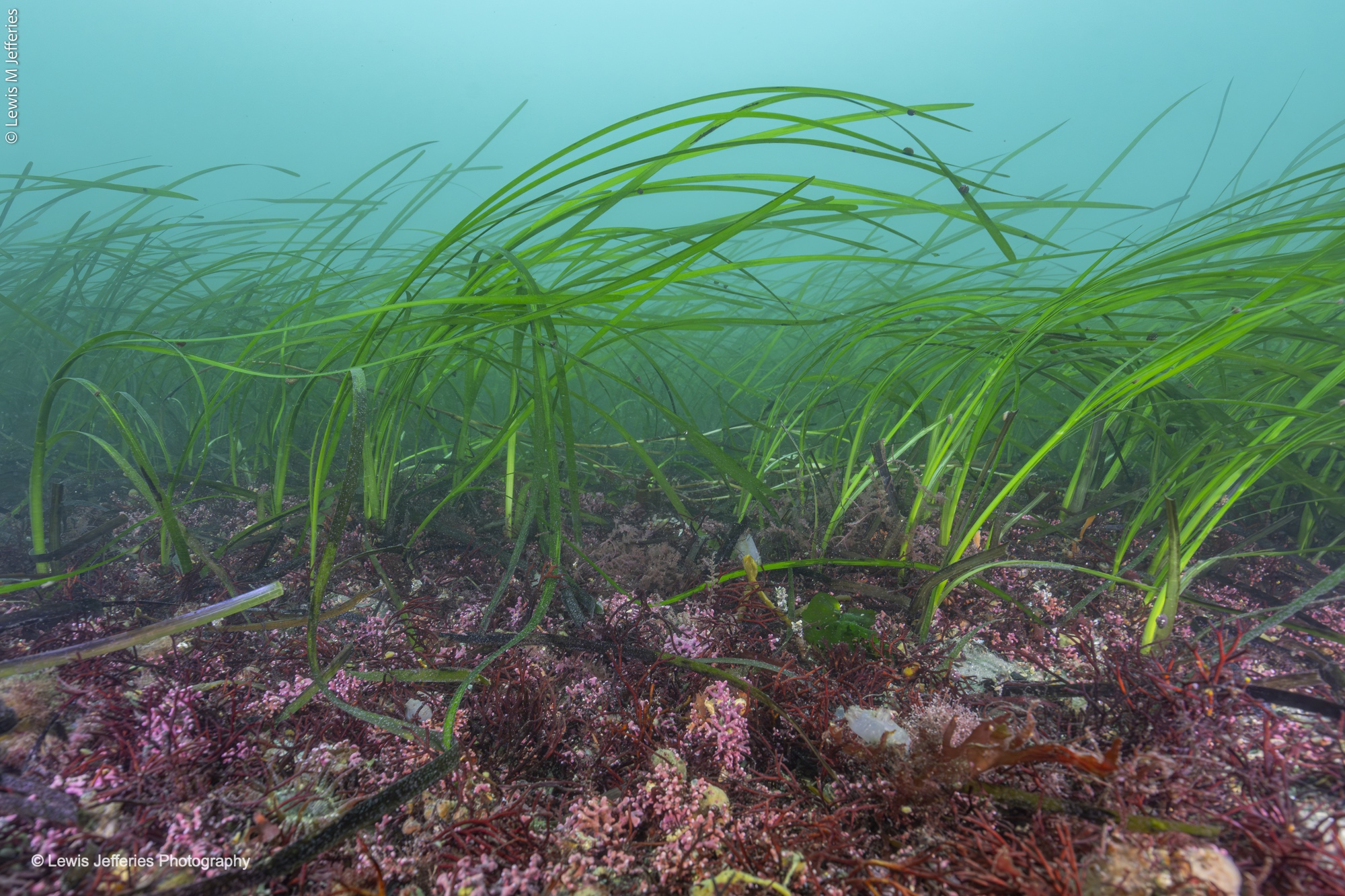 New Website Now Live